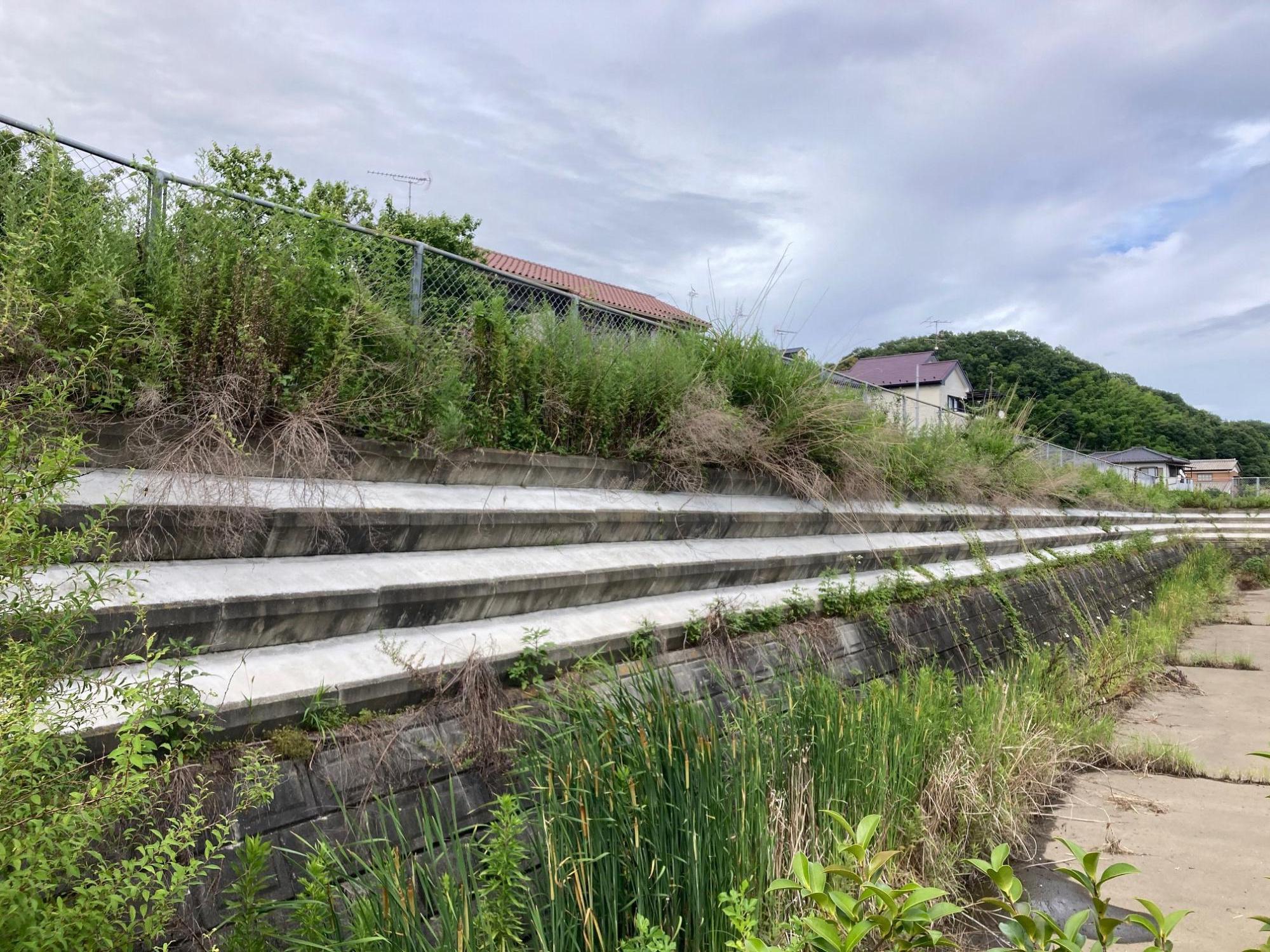 大豆五駄第1公園の調整池植樹帯の補修後