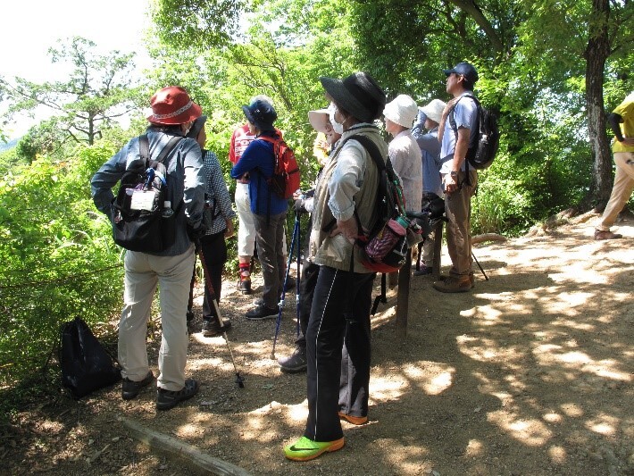 参加者たちが山の中にある少し開けた場所に立っている写真