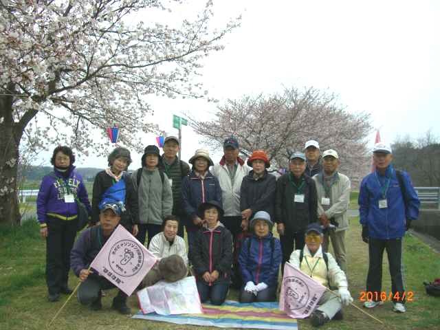 花開いた桜の木を後ろにして集合写真を撮る参加者たちの写真