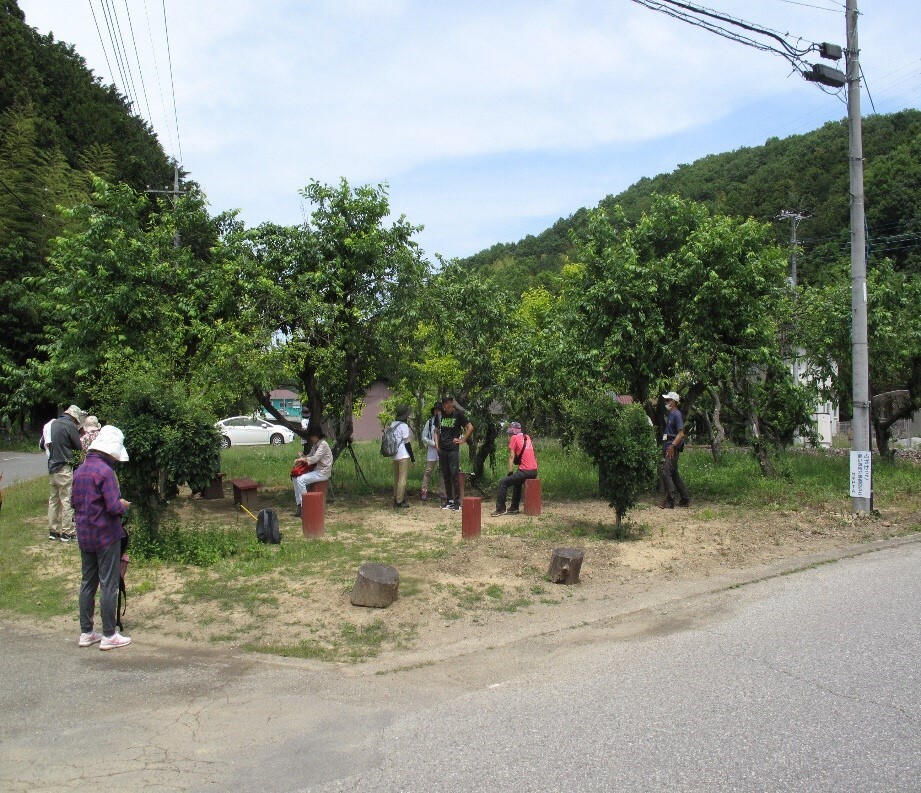 参加者たちが木々の下で休んだり木々のそばに立って休憩している写真