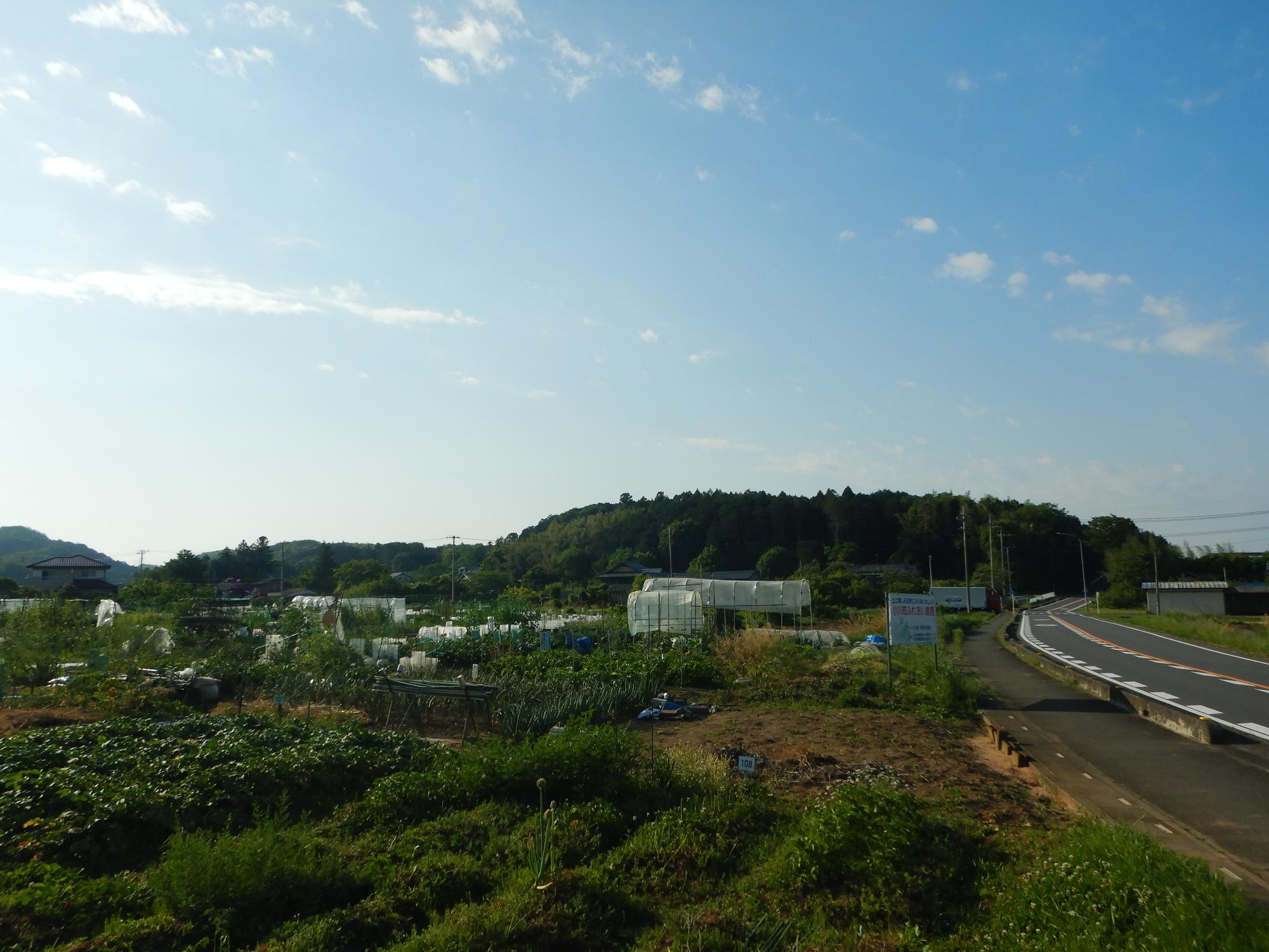 高谷圃場 道沿い