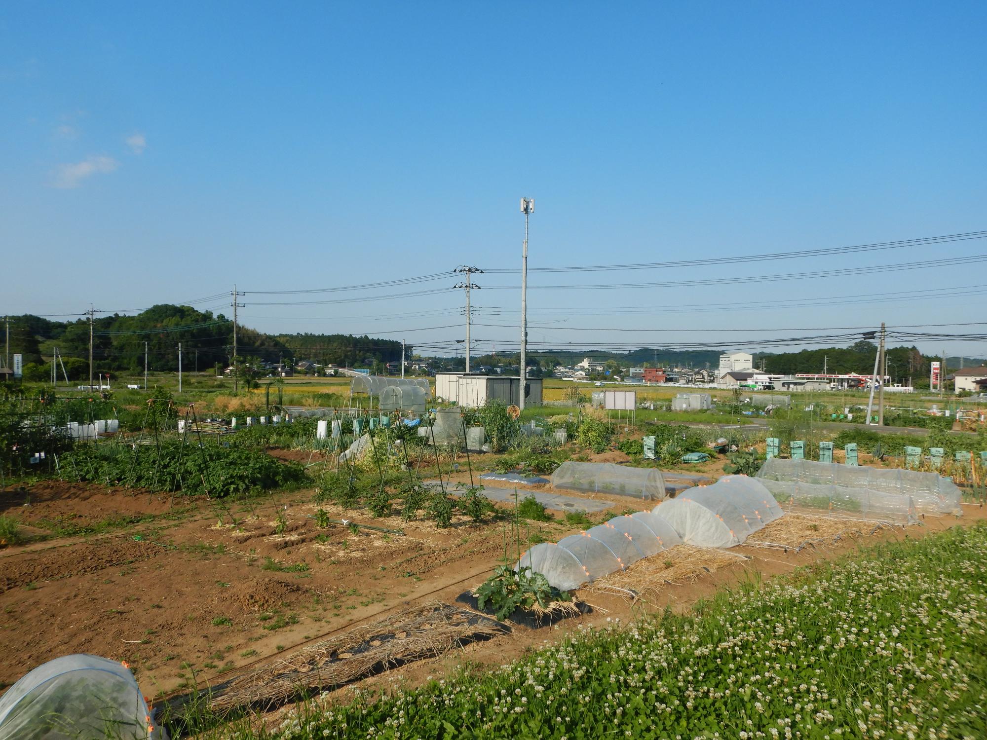 高谷圃場外観