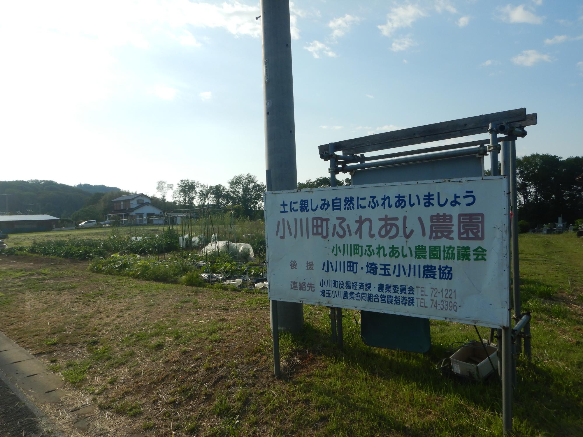 能増圃場