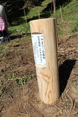 ヤオコーの森林と書かれた記念柱をアップで写した写真