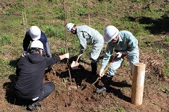 記念柱の横で男性が桜の苗木を持ち、3名の男性がスコップで砂をかけて植樹している写真