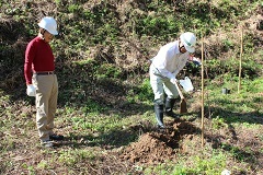 ヘルメット姿の会長と町長のうち1人が木の周りの土を掘り、1人がその横に立っている写真
