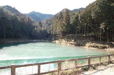 木々に囲まれた天王沼池の水面の写真