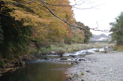 柳町橋の上から見える流れる川と木々の写真