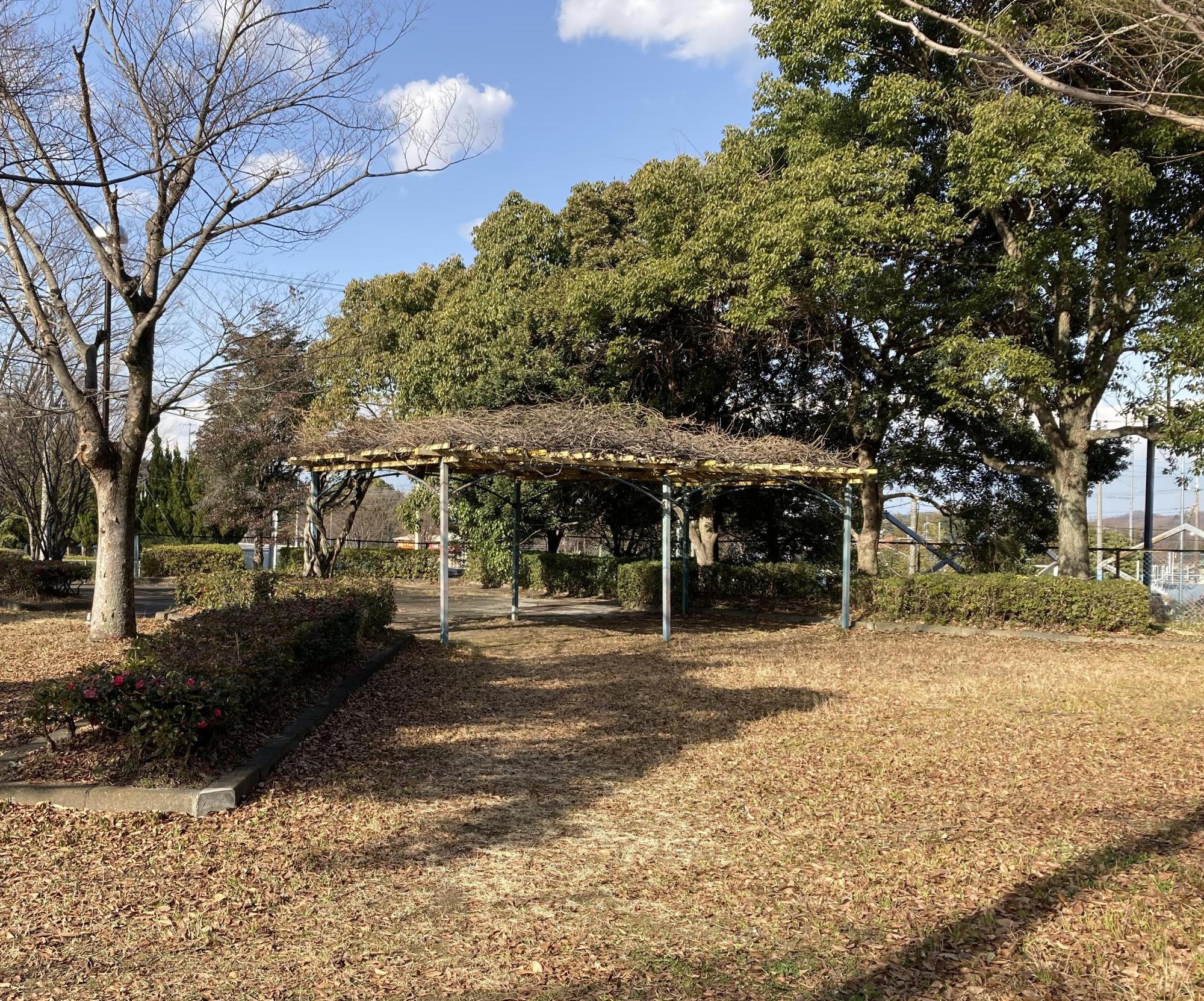 左側に背の低い植栽が植えられている奥にパーゴラが設置されている公園内の写真
