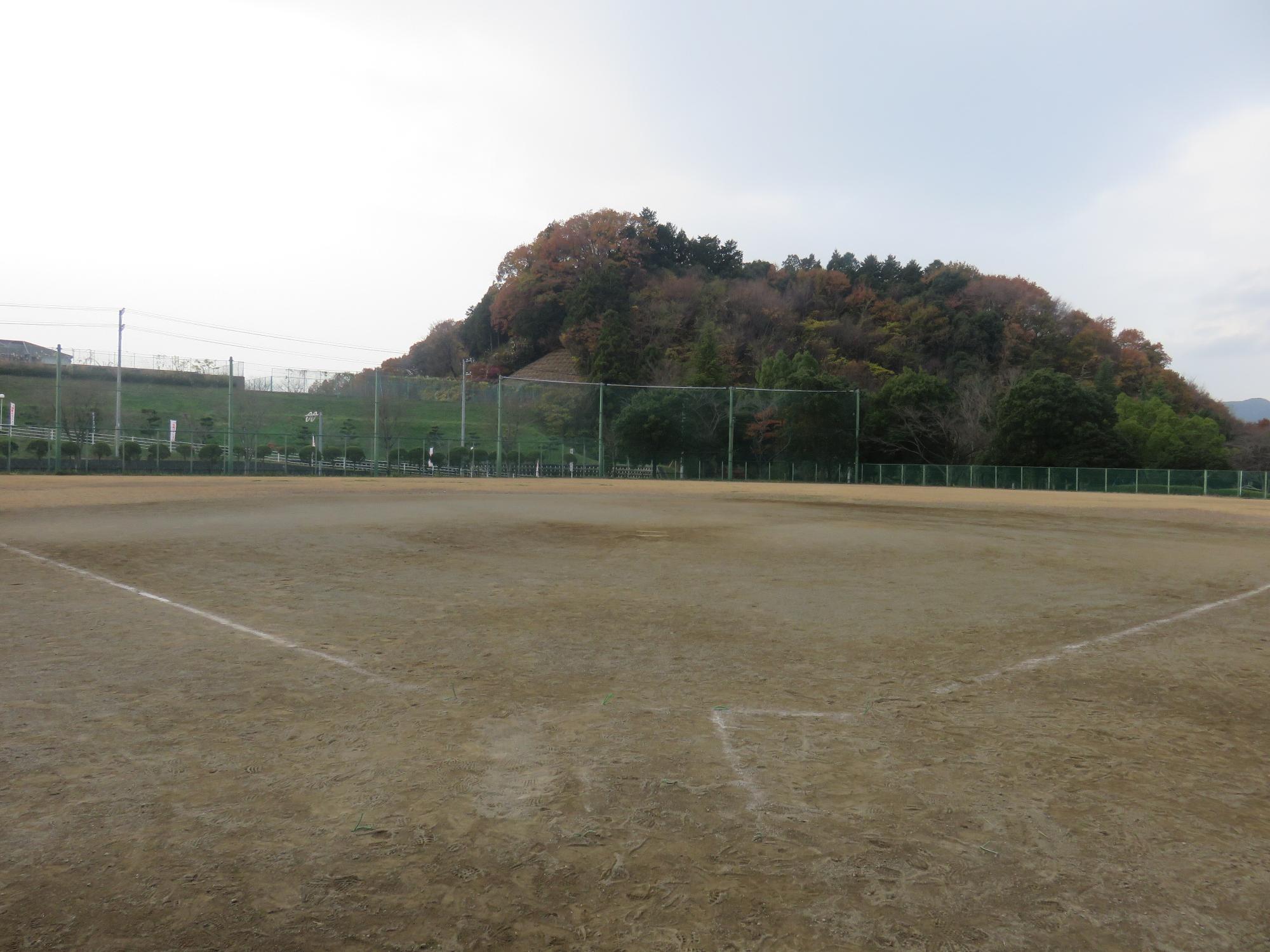 ホームベース付近からグラウンド全体を撮影した写真