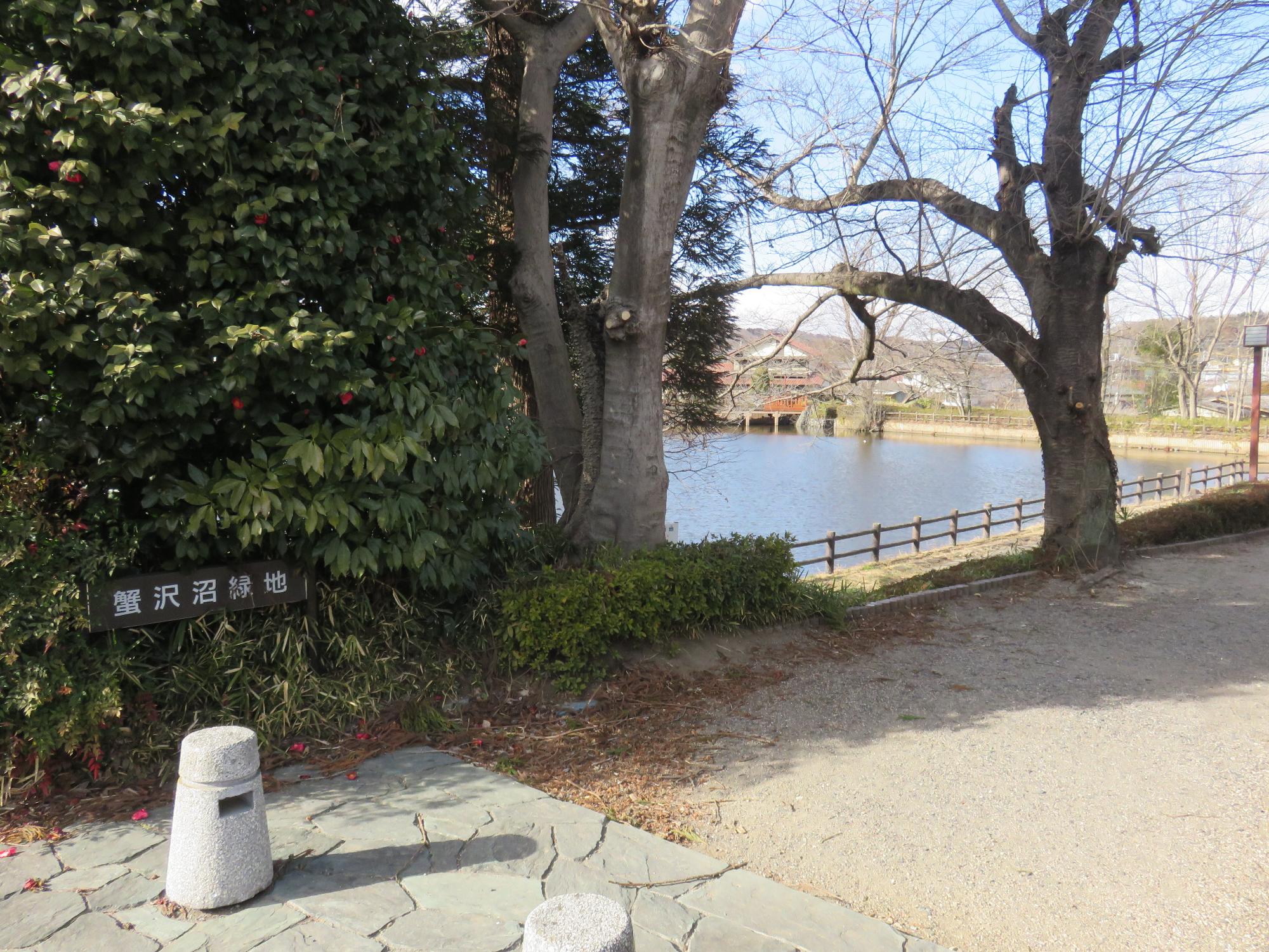大きな木の手前に「蟹沢沼緑地」と書かれた看板が設置され、入り口の奥に街灯や木の柵で囲まれた池の写真