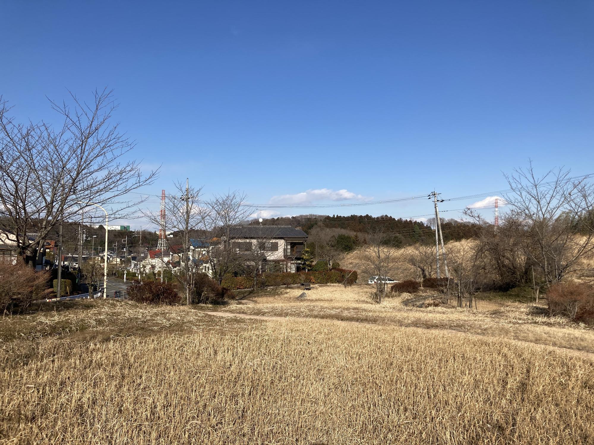 坂道を上がったカーブした場所にある木々に囲まれた小川東第16公園の写真