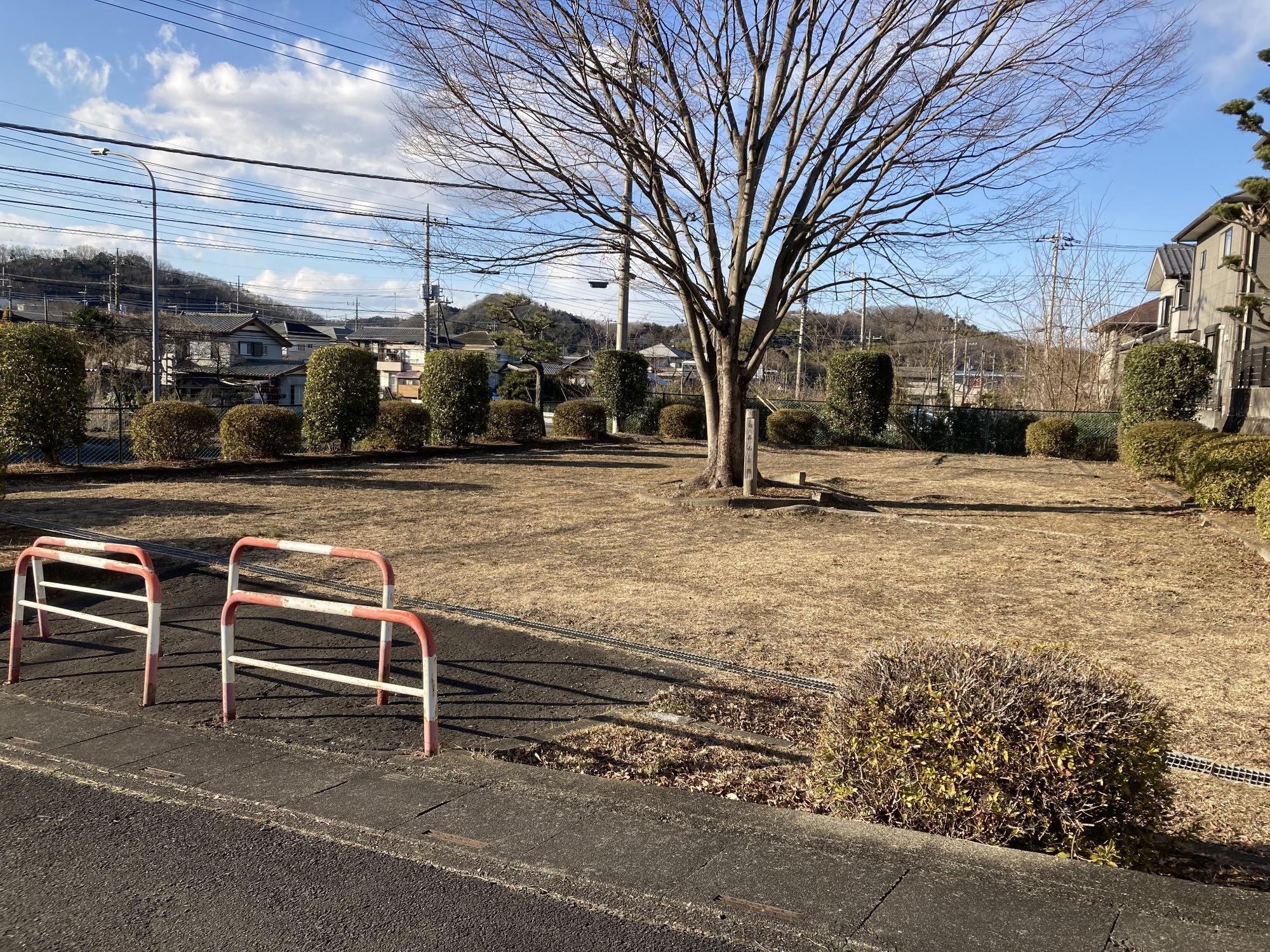 きれいに手入れされた生垣に囲まれた敷地内中央に1本の大きな木が植えられた飯盛山公園の写真