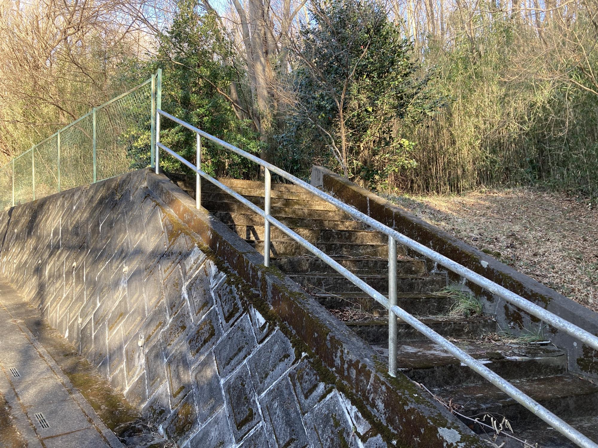 手すりがついた階段を上がった先に木々が鬱蒼と茂っている願所公園の写真
