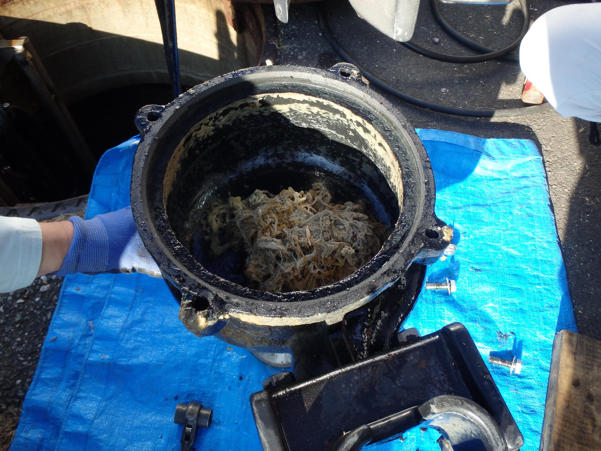 ポンプに異物が詰まった状態の写真