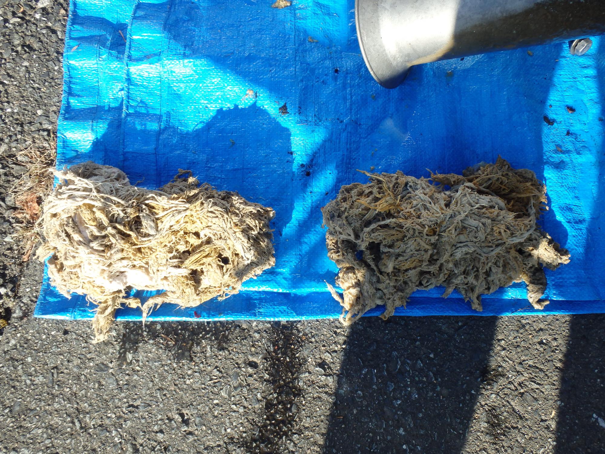 ポンプから取り出された布の写真