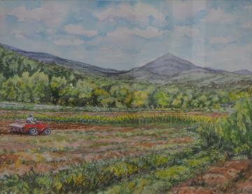 山や木々が生えた麓の畑を、赤色のトラクターに乗って耕している風景を描いた小林 信左衛門さんの作品