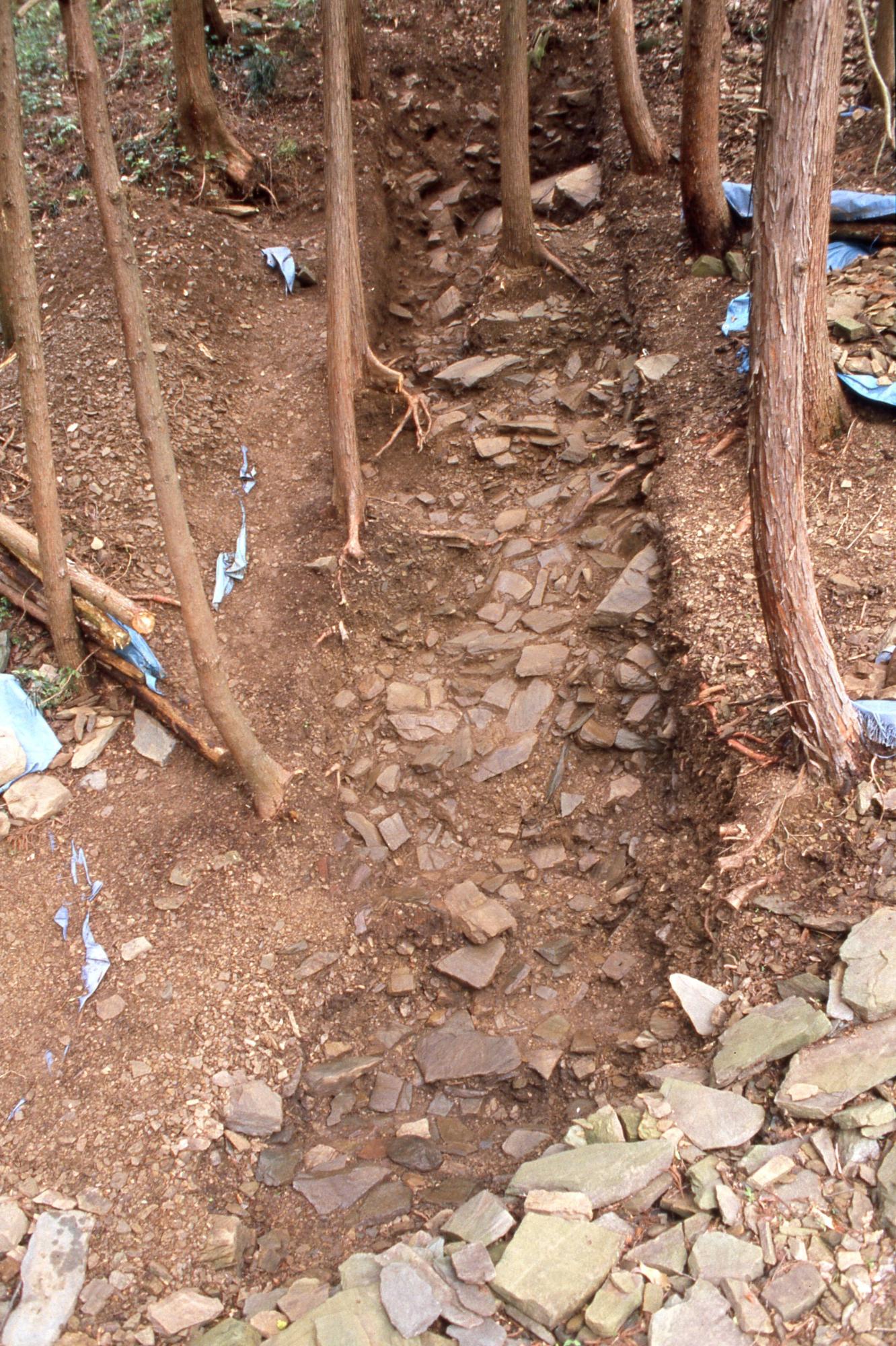 板石が検出がされた箇所が一段低く溝のようになっている箇所の両脇に木々が生えている様子を見下ろすように撮影した写真