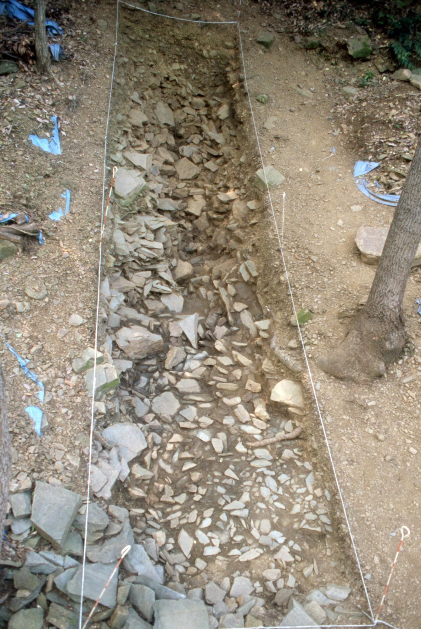 木が生えている地面の一角を一段低く掘り下げたところに屑石がたくさん検出されておりその箇所をひもで区切っている調査風景の写真
