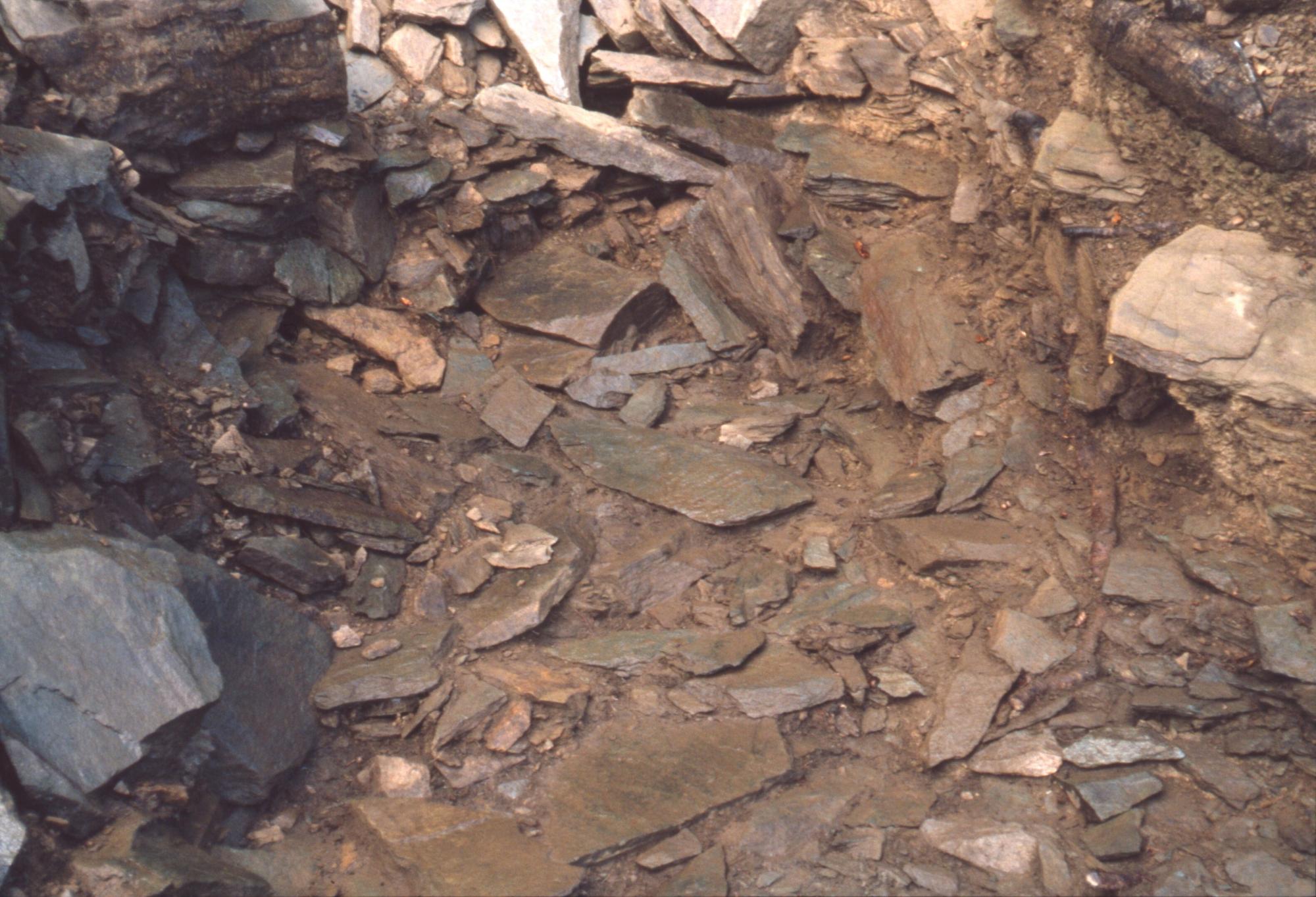 茶色の土の中から細長いものや角が尖ったものなどの石が多数見えている検出状況の写真