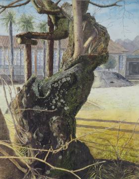 校舎が立つ校庭の隅に、木製の支柱で支えられた古木がひっそりと立っている様子を描いた長谷川 厚子さんの作品