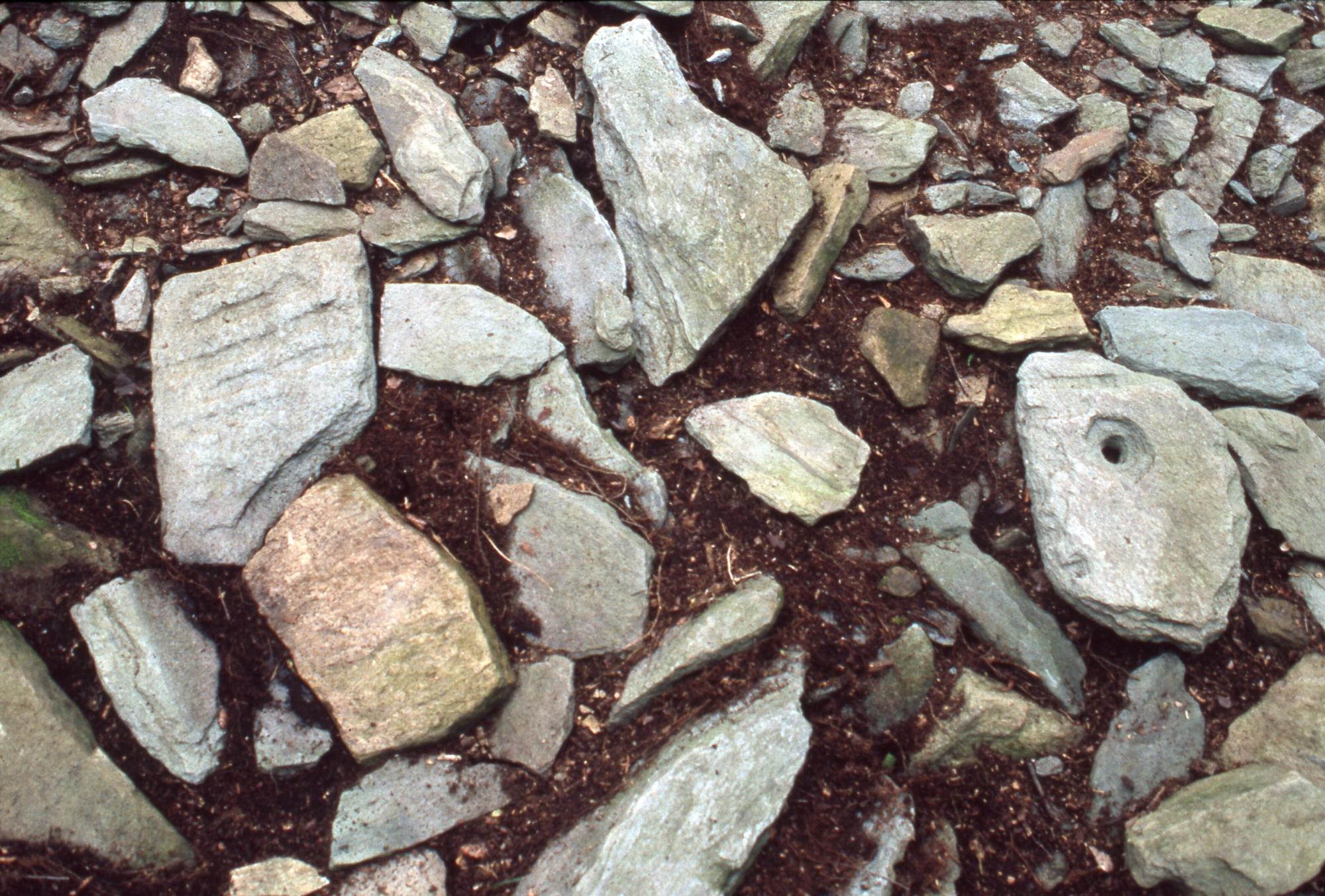 地面から表面におうとつがあったり一部に穴があいている石が検出されている写真