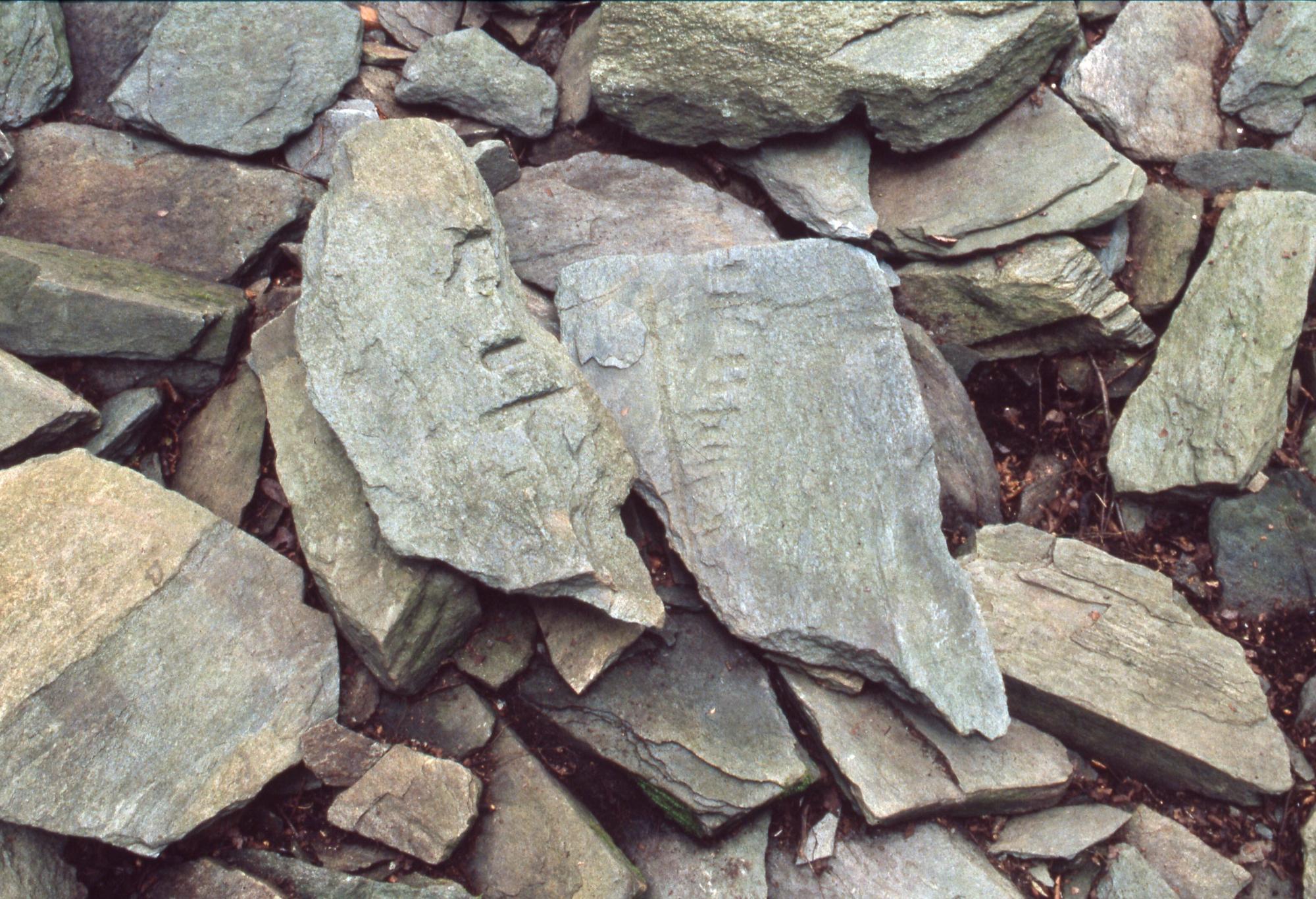 地面から表面におうとつのような溝ができている石が検出されている写真