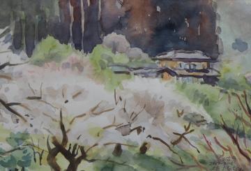 2階建ての民家が立つ手前のお寺の敷地内に、白色の花が咲いた木々が立っている風景を描いた松下 光さんの作品