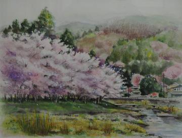 山の麓に立つ民家の前に橋がかかった川が流れ、川沿いに満開の花が咲いた桜の木が立ち並んでいる風景を描いた柳澤 喜子さんの作品