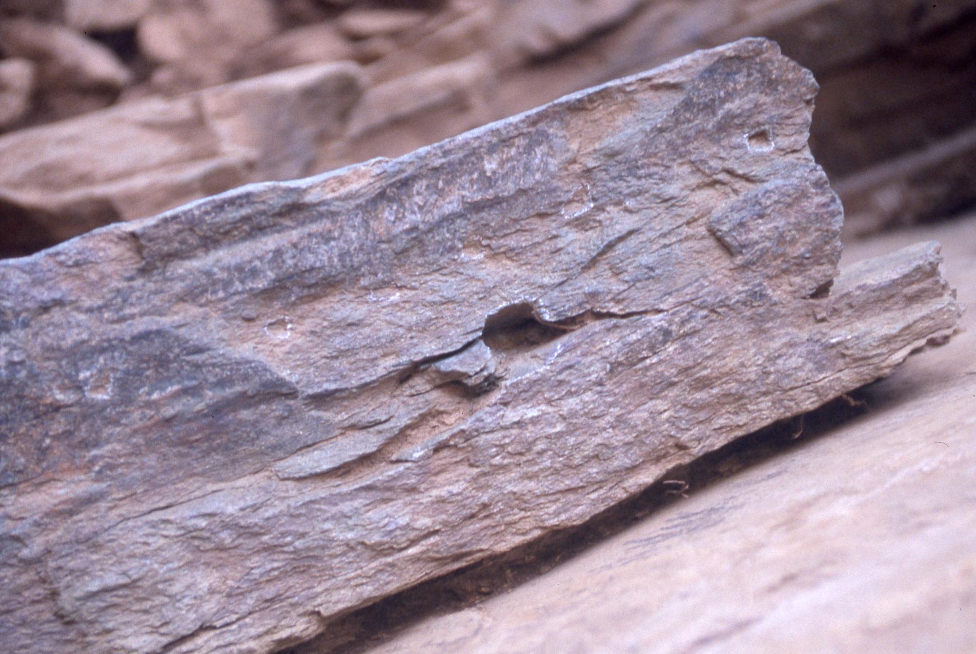 板石の断面の一部に穴があいているヤ穴痕と工具痕を接写した写真