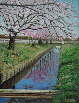 水路脇の満開の桜の花が水面に反映する様子が描かれた甲田 栄司さんの油絵の作品