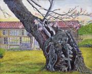 そびえたつ大きなひこばえが描かれ奥に見える旧下里分校が描かれた花田 誠八さんの油絵の写真