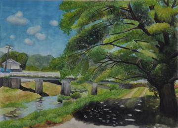 青い空と白い雲、川の脇の歩道に立つ緑豊かな大木が影を作り涼しさを感じさせる吉田 花さんの水彩画の写真