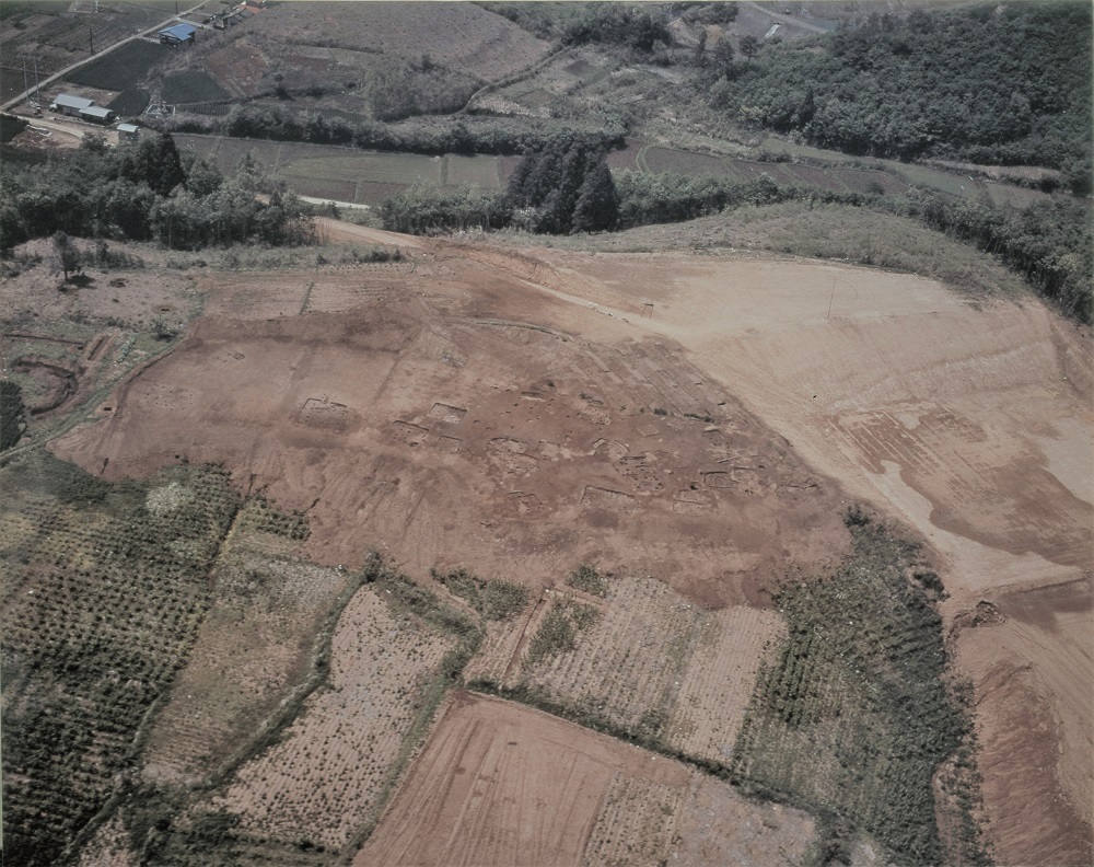 周囲に林や畑に民家が点在し木々が生えた平松台遺跡を上空から撮影した写真