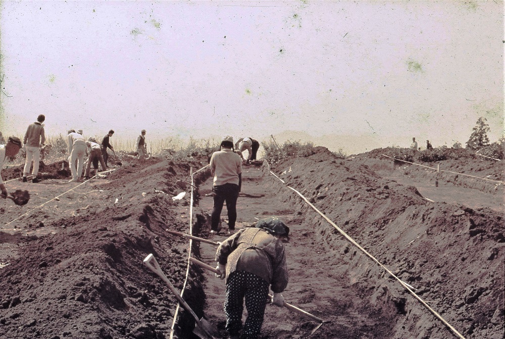複数の作業者が掘った土を両脇に積み上げている調査風景の写真