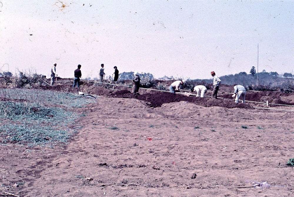 広大な土地の一角で作業員数名が土を掘ったりして発掘調査を行っている写真
