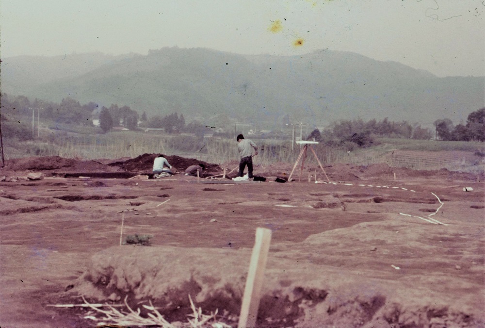 周囲に穴がが掘られている土地に1名の作業員が道具を持ち調査を行っている写真