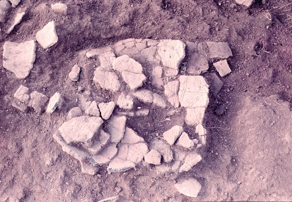 土器の破片が重なり合うように出土されている写真