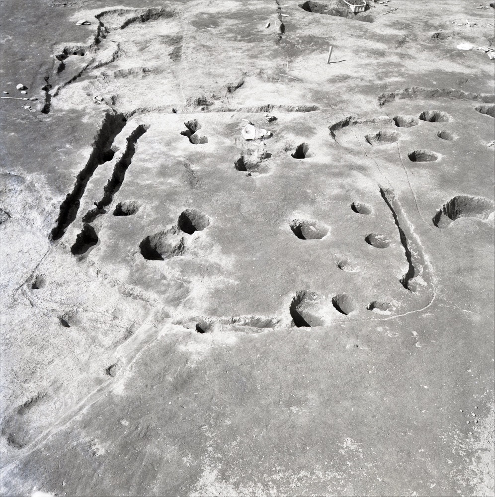 溝が縦2列に掘られていたり穴が複数個所あいている黒浜期住居跡の写真
