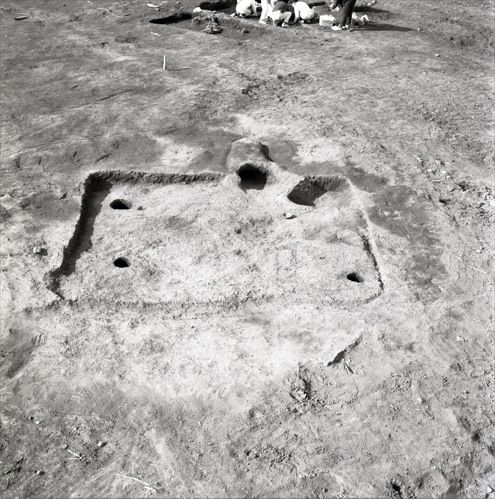 四角形に掘られた場所で穴が数か所あいている8号住居跡の写真