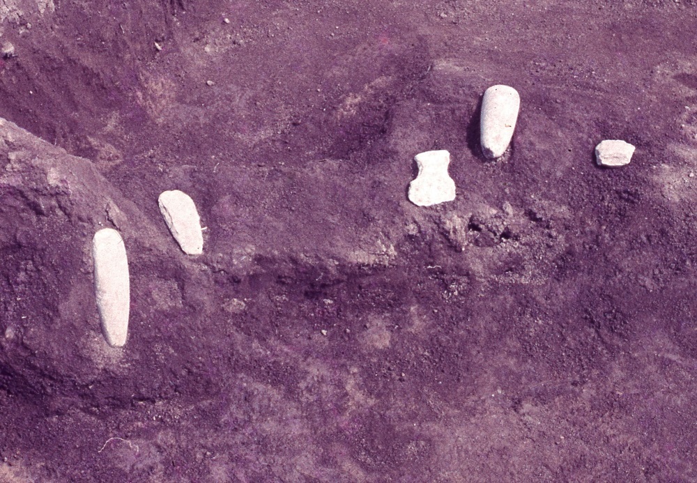 楕円形の石が5つ出土されている磨製石斧の写真