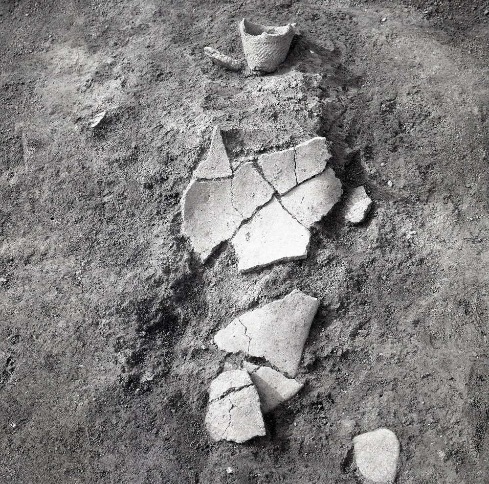 模様が入っていたり一部かと思われる土器のかけらが複数出土された関山式土器の深鉢の写真