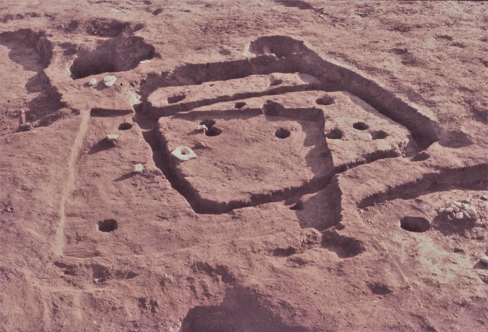 地表面に複数個所のくぼみや穴が開いていたり四角で囲ったような跡がある14号・29号住居跡 黒浜期の写真