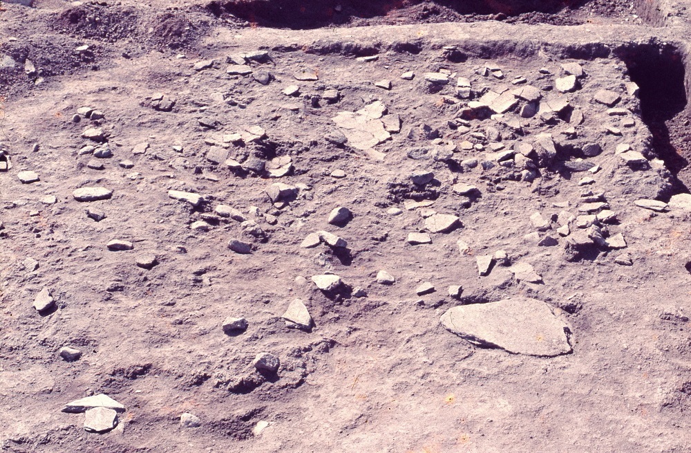 傾斜になっている場所で大小様々な形の大量の土器が出土されている写真