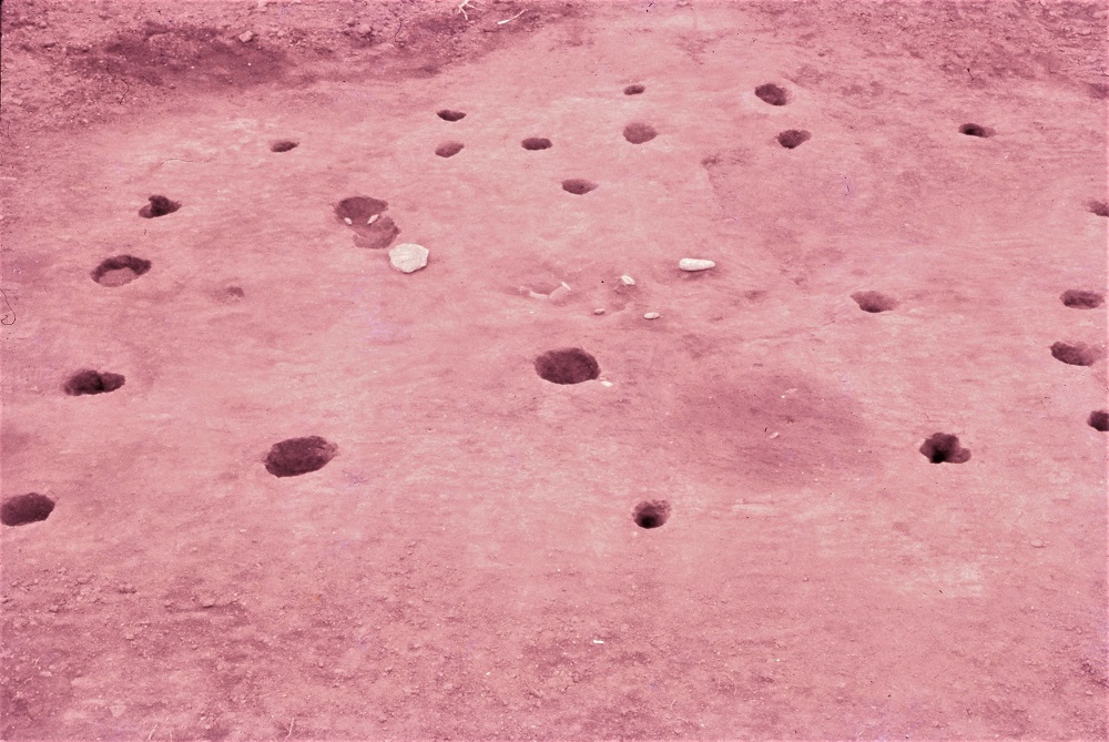 穴が点在している住居跡の写真