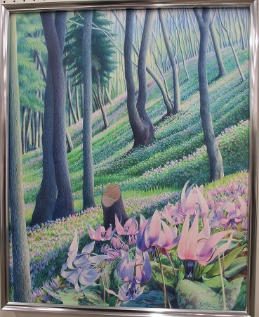 木漏れ日の斜面に群れて咲いている薄紫色のカタクリの花が色鉛筆で描かれた金山 敏さんの絵の写真