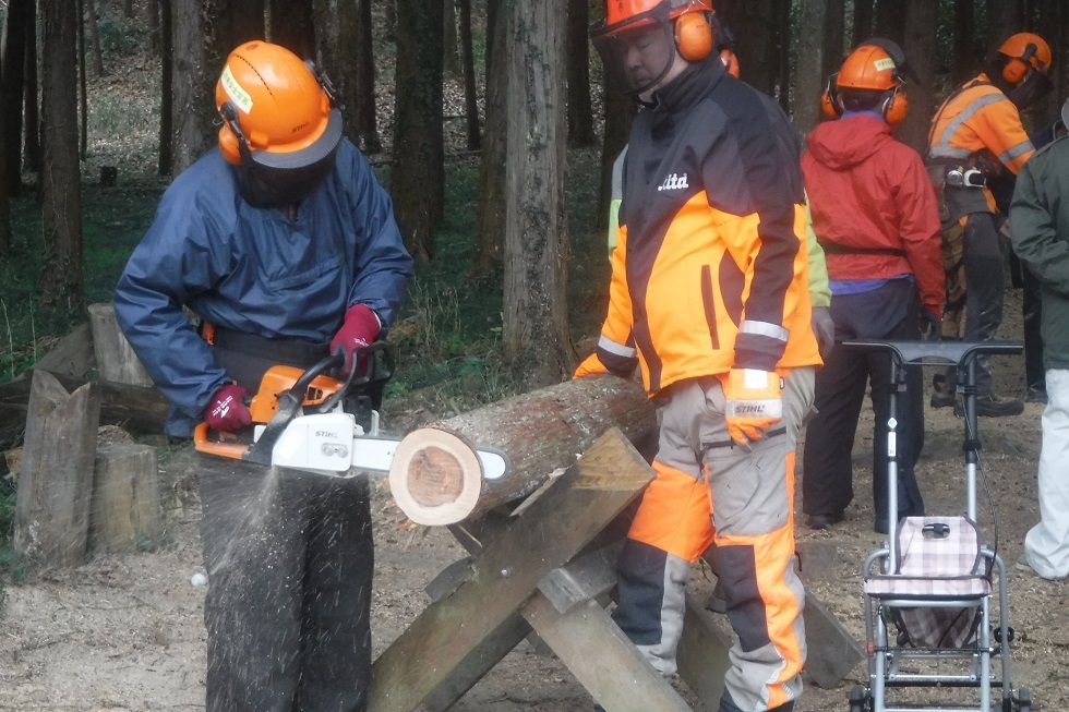 木々が生えた屋外で、オレンジ色のヘルメットを被った男性が横に倒した木を支え、もう一人の男性がチェーンソーで切っている安全講習の様子の写真