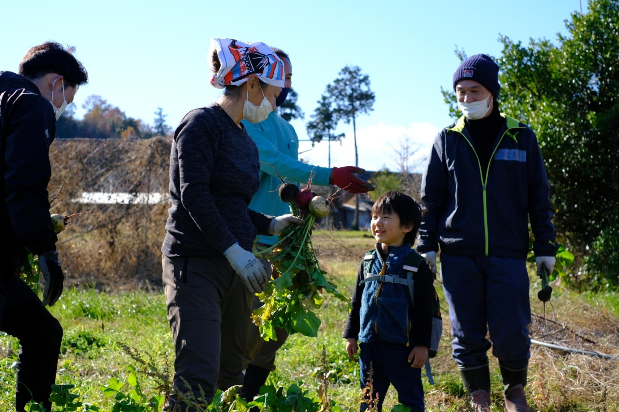 畑で収穫した新鮮なカブを持っている女性を男性と男の子が見ている写真