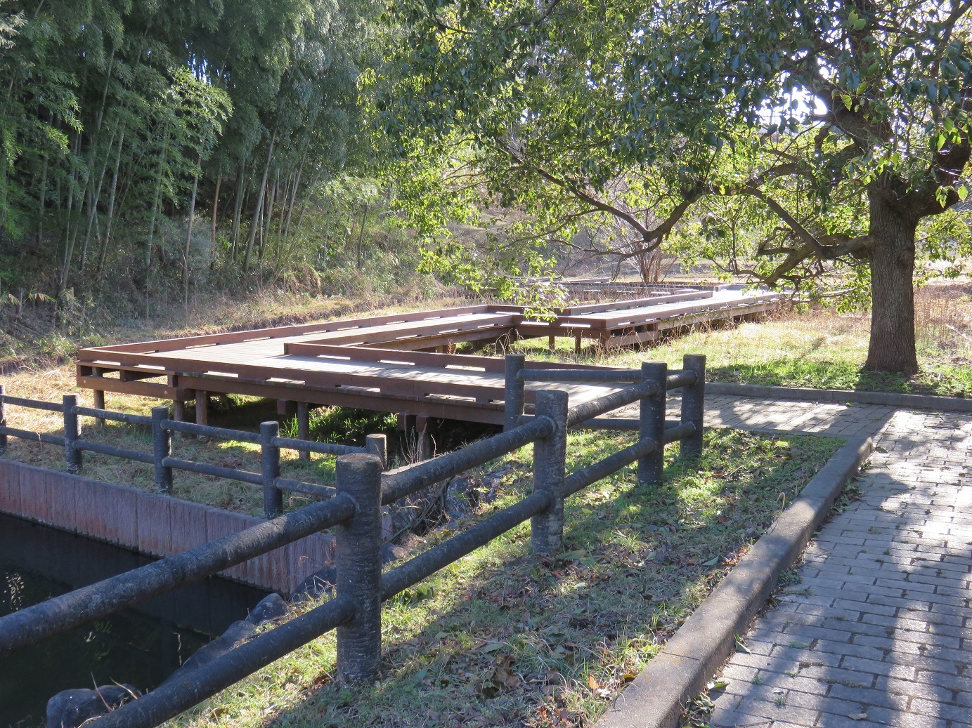 木々が生えている公園内に設置された補修工事が終了した木橋の写真