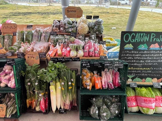 青パパイヤやエゴマに大根などの沢山の種類の野菜がきれいに陳列されている販売ブースの写真